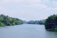 ප්‍රධාන ගංගාවල ජල මට්ටම් ගැන වාරිමාර්ගයෙන් දැනුම්දීමක්