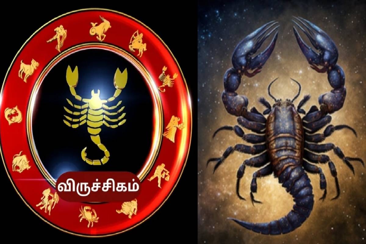 படிப்பில் சாதிக்கவே பிறப்பெடுத்த டாப் 4 ராசிகள்! உங்க ராசியும் இதுல இருக்கா? | Which Zodiac Signs Are Excellent In Studies படிப்பில் சாதிக்கவே பிறப்பெடுத்த டாப் 4 ராசிகள்! உங்க ராசியும் இதுல இருக்கா? | Which Zodiac Signs Are Excellent In Studies