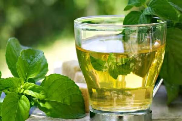 Natural Remedies: மழைக்கால வயிற்றுப் பிரச்சினைகளுக்கு 7 இயற்கை தீர்வுகள் | 7 Natural Fixes For Monsoon Stomach Problems