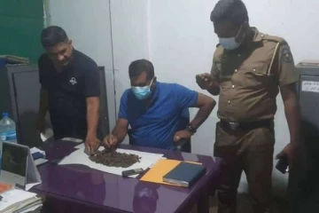 பலசரக்கு கடையில் கஞ்சா வியாபாரத்தில் ஈடுபட்ட நபர் கைது