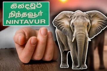 அம்பாறையில் யானையின் தாக்குதலுக்குள்ளான குடும்பஸ்தர் உயிரிழப்பு