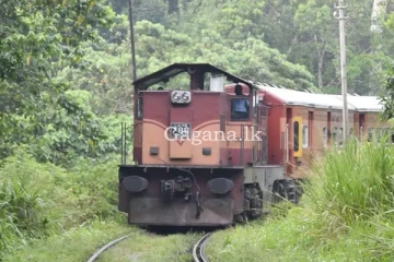 මාතලේ - මහනුවර දුම්රිය මාර්ගයේ කොටසක් වැසේ. - වැහෙන ඇරෙන දින මෙන්න.