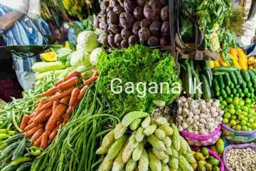 රට පුරා එළවළු මිල ගණන් වලට අද සිදු වූ දේ..මිල ගණන් ලැයිස්තුව මෙන්න..