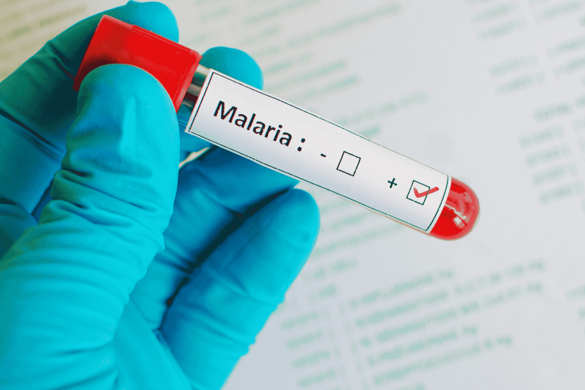 வட மாகாணத்தில் மீண்டும் தலைதூக்கும் ஆபத்து ; மக்களே அவதானம் | Threat Resurfaces In Northern Province