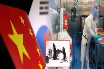 மனித உயிரை கொல்லும் கொடிய வைரஸ்: சீனாவின் ஆய்வு தொடர்பில் விடுக்கப்பட்டுள்ள எச்சரிக்கை