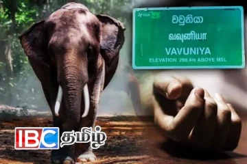 யானை தாக்கி முன்னாள் கிராம சேவையாளர் பலி - தமிழர் பகுதியில் சம்பவம்