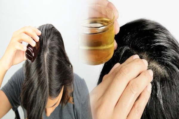 முடி சும்மா காடு போல வளரணுமா? இந்த ஒரு காயின் எண்ணெய் போதும் | Fast Hair Growth Use Olive Oil In One Month Beauty