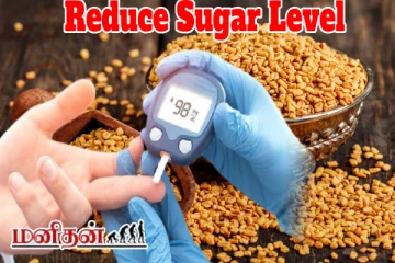 இரத்த சக்கரை அளவை முற்றாக ஒளிக்க வேண்டுமா? காலையில் இந்த விதை நீரை குடிங்க