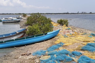 நீண்ட காலம் புணரமைக்கப்படாத நிலையில் நாகதேவன் துறை: கடற்தொழிலாளர்கள் விசனம் (Photos)