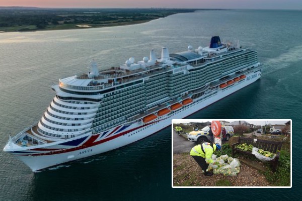 கடலில் விழுந்த வாழைப்பழங்கள்:பிரித்தானியாவில் புறப்படத் தயாரான பயணிகள் கப்பல் நிறுத்தம் | P O Cruises Lona Stopped After Cargo Spills