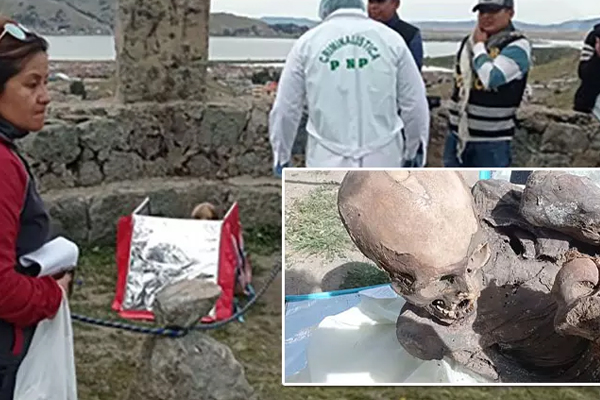 உணவு டெலிவரி பையில் மம்மியை வைத்திருந்த நபர்! | The Man Kept The Mummy In His Food Delivery Bag