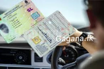 රියදුරු බලපත්‍රය ගැන මෝටර් රථ ප්‍රවාහන දෙපාර්තමේන්තුවෙන් විශේෂ නිවේදනයක්..