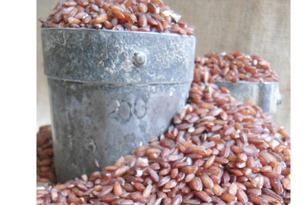 ஆண்கள் மாப்பிள்ளை சம்பா சாப்பிட்டால் என்ன நடக்கும்? ஒரே மாதத்தில் அந்த பிரச்சினைக்கு தீர்வு | Mappillai Samba Rice Sambar