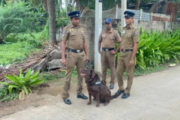 மன்னாரில் திடீரென சுற்றிதிரியும் மோப்ப நாய்கள்!
