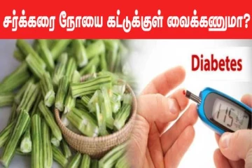 சர்க்கரை நோயை கட்டுக்குள் வைக்கணுமா? முருங்கைக்காய் தான் சிறந்த தெரிவு