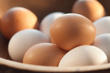 முட்டை இறக்குமதியால் இலங்கைக்குள் வைரஸ் நுழையும் அபாயம்!