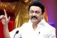 களத்தில் உள்ள உண்மையை அப்படியே தெரியப்படுத்த வேண்டும் - மு.க.ஸ்டாலின்