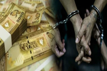 500 கோடி ரூபா பண மோசடியில் ஈடுபட்ட தம்பதியினர் கைது