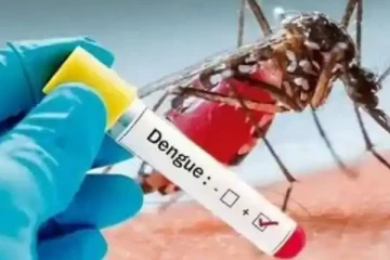 கிளிநொச்சியில் அடையாளம் காணப்பட்டுள்ள 39 டெங்கு நோயாளர்கள்: மக்களுக்கு விடுக்கப்பட்டுள்ள எச்சரிக்கை