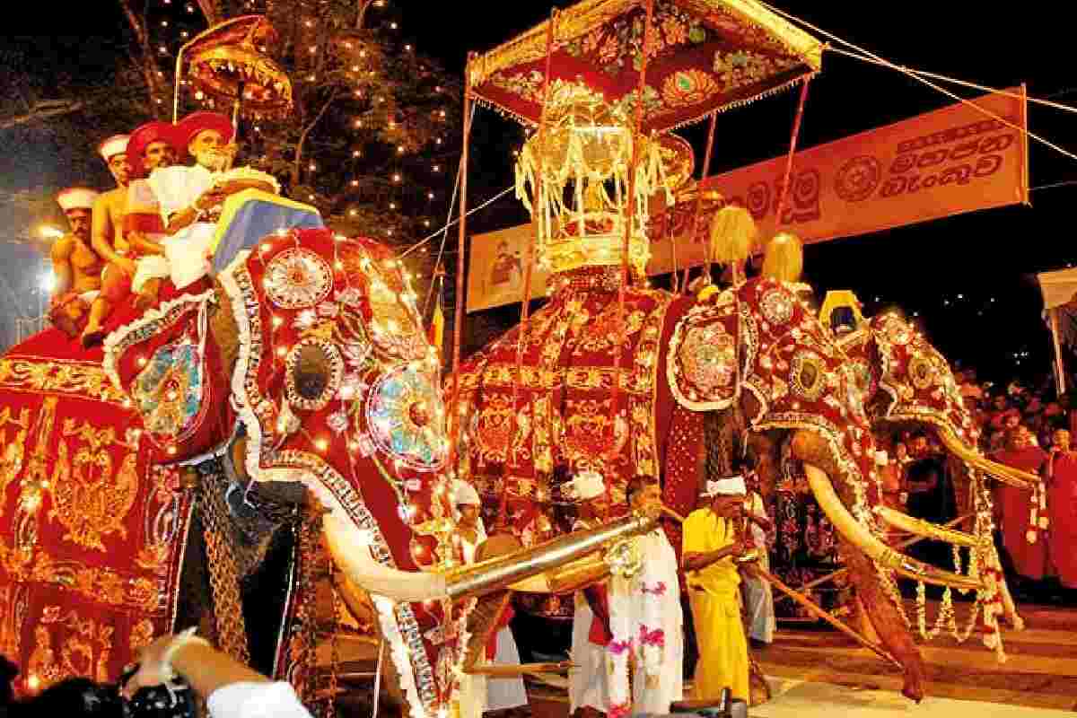 கண்டி எசல பெரஹேராவை முன்னிட்டு விசேட போக்குவரத்து மற்றும் பாதுகாப்பு திட்டம் | Kandy Esala Perahera Special Traffic And Security கண்டி எசல பெரஹேராவை முன்னிட்டு விசேட போக்குவரத்து மற்றும் பாதுகாப்பு திட்டம் | Kandy Esala Perahera Special Traffic And Security