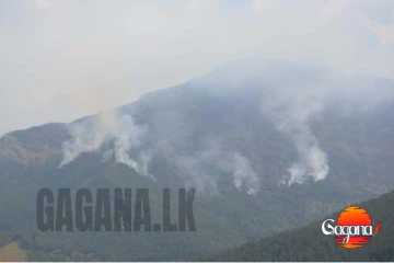 නන්පේරියල් රක්ෂිතයේ ගින්න නිවීමට යුද හමුදාවේ දැඩි උත්සාහයක්