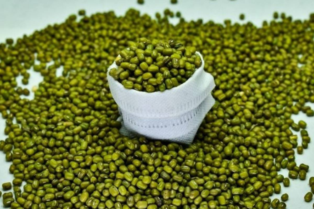 கோடையில் சோர்வை போக்கும் பாசிப்பயறு லட்டு -இதை சேர்த்து செய்து பாருங்க | How To Make Green Gram Laddu Summer Special