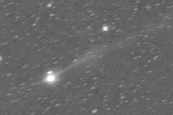 பூமியை நோக்கி வேகமெடுக்கும் மர்ம விண்கலம்: வேற்றுகிரகவாசிகள் என நம்பும் எலோன் மஸ்க் | Mystery Spaceship Towards Earth