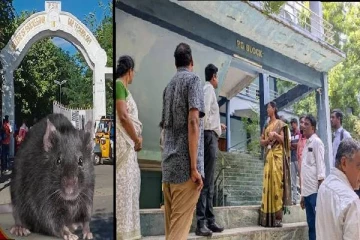 ஒரே கல்லூரியை சேர்ந்த 7 பேருக்கு எலிக்காய்ச்சல் - பின்னணி என்ன?