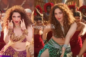 Youtube ඇතුළු සමාජ මාධ්‍ය ගිනි තැබූ රජිණිකාන්ත්ගේ " Kaavaalaa " - (VIDEO)