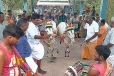 படிக்கட்டுகள் ஏறி முருகனை தரிசிக்கும் பசுக்கள்