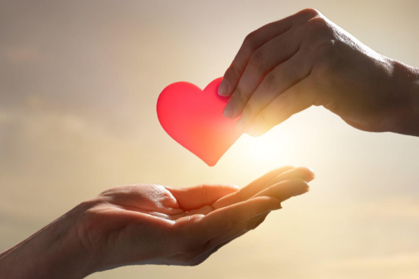 காதல் தோல்வியால் யாழ் மாணவி விபரீத முடிவு; துயரத்தில் உறவுகள் | Jaffna Student Dies Tragically Due To Failed Love