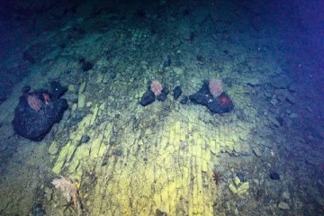 ஆழ்கடலுக்குள் செங்கல் சாலையா? மிரண்டு போன விஞ்ஞானிகள்!