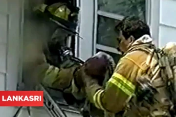 ஏணியில் இறங்கிக்கொண்டே குழந்தைக்கு CPR செய்து உயிர்கொடுத்த தீயணைப்பு வீரர்! தீயாக பரவும் வீடியோ