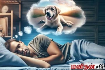 அடிக்கடி கனவில் விலங்குகள் வருகினறதா? அர்த்தத்தினை கட்டாயம் தெரிஞ்சிக்கோங்க