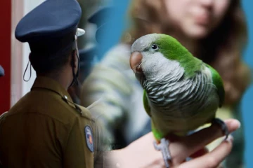 கணவருக்கு தெரியாது மனைவி செய்த செயல்; காட்டிக்கொடுத்த கிளி!