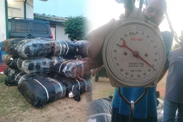 மன்னாரில் பீடி இலை பொதிகளுடன் 3 பேர் கைது