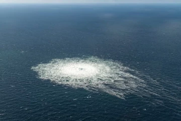 ரஷ்ய எரிவாயுக்குழாய் சேதப்படுத்தப்பட்ட விவகாரம்: உக்ரைன் நாட்டவர் கைது