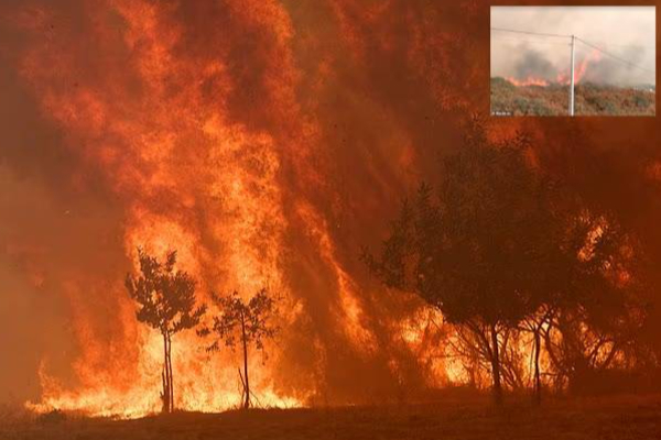 wildfire in spain and portugal