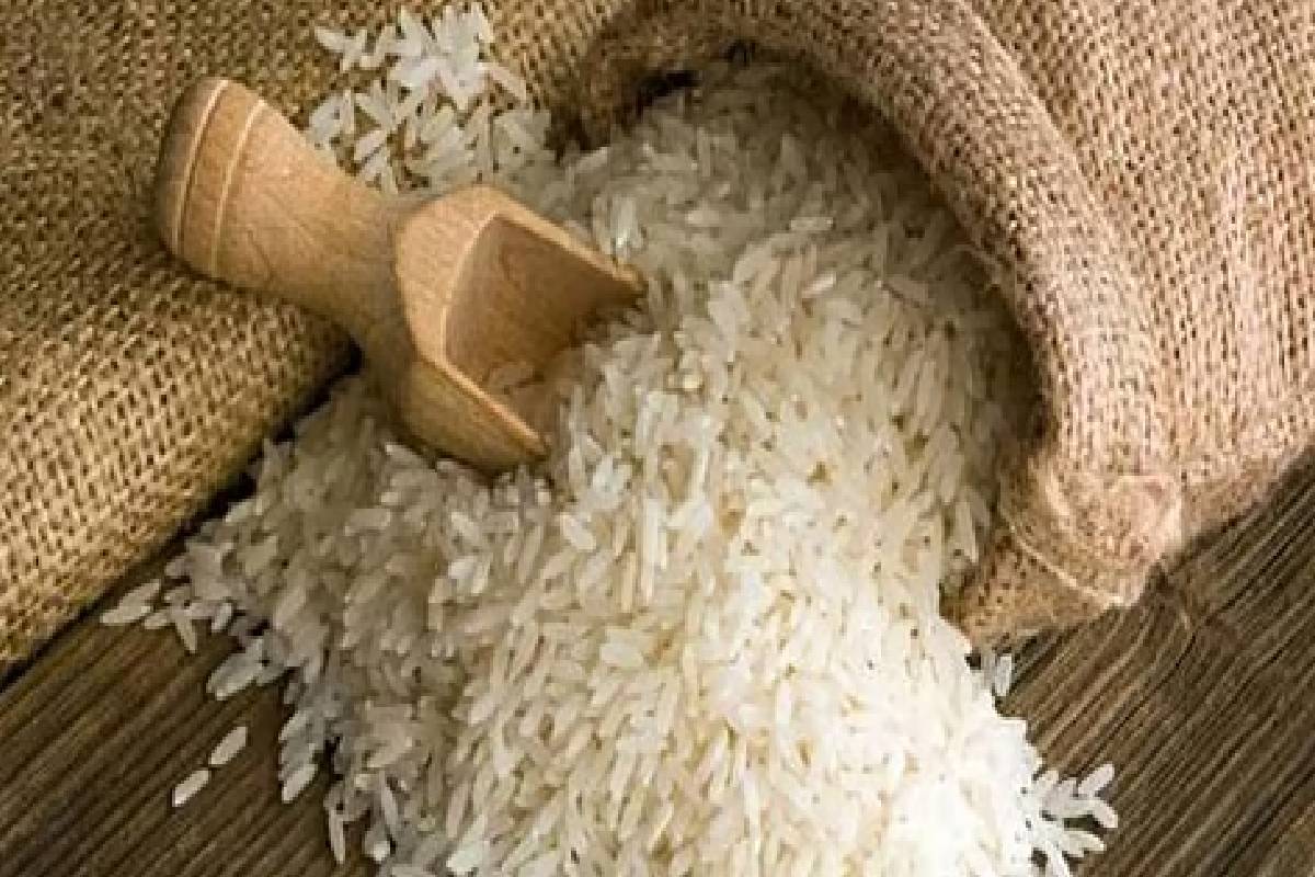 அரிசியைப் பயன்படுத்தி புதிய உற்பத்திகளை உருவாக்க வேண்டும் ; ஜனாதிபதி வலியுறுத்தல் | Dengue Western Province Next Two Weeks Dangerous