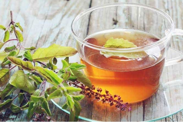 நுரையீரலில் தங்கும் சளிக்கு நிரந்தர தீர்வு.... மூலிகை டீ எப்படி தயார் செய்வது? | Herbal Teas That Remove Mucus