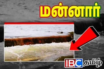 மன்னார் கட்டுக்கரை குளத்தில் வான் நீர் அதிகரிப்பு...!