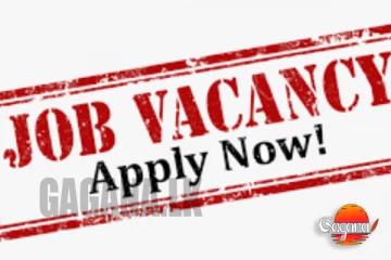 මේ රැකියා පුරප්පාඩුව සඳහා රජයෙන් අයදුම්පත් කැඳවයි