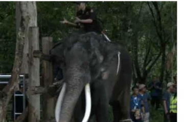 මෙරටින් රැගෙන ගිය මුතුරාජාට හදිසියේ වැළදුණු රෝගය..