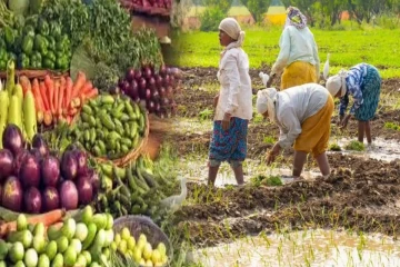 கந்தளாய் பேராறு விவகாரம் : விவசாயிகளுக்குக் கை கொடுக்க முன்வருவார்களா அதிகாரிகள்..!