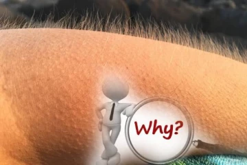 மெய் சிலிர்ப்பதற்கு இது தான் காரணமா? அறிவியல் உண்மையை தெரிஞ்சிக்கோங்க