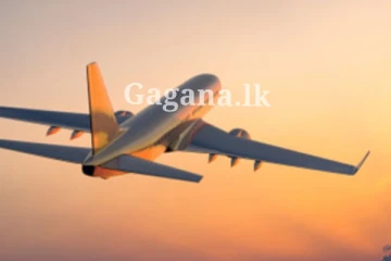 විදෙස් රැකියා සඳහා විදෙස් ගත කිරීම අත්හිටුවීමක් ගැන තීරණයක් - ඒ වෙනුවට කරන්න යන දෙය..