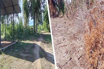 புதுக்குடியிருப்பு - தேவிபுரத்தில் சுடலை காணியினை அடத்தாக பிடிக்கும் தனிநபர்! மக்கள் விசனம்