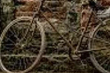 කුඩම්මාගේ හිරිහැර නිසා දරුවකු කිලෝ මීටර් 200 අම්මා සොයා පා පාදියෙන් ගිය සිසිදුවීම