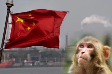 குரங்காட்டி அரசியல்