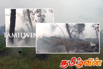 யாழ்.பருத்தித்துறை நகர சபையால் கழிவுகளுக்கு வைக்கப்பட்ட தீ: பல தென்னம் கன்றுகள் நாசம்